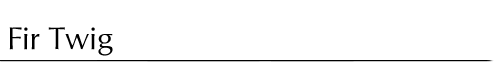 fir_twig.gif (1125 bytes)
